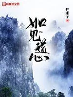 如见道心封面