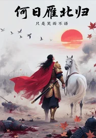 何日雁北归封面