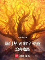 满门尽灭的宇智波没有格局封面