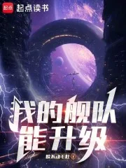 我的舰队能升级封面