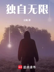 独自无限封面