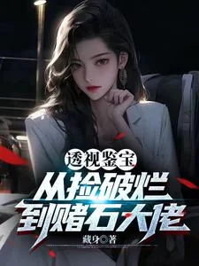 透视鉴宝：从捡破烂到赌石大佬封面