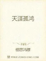 天涯孤鸿封面