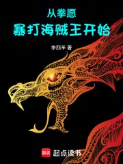 从拳愿暴打海贼王开始封面