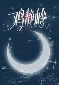 鸡静岭封面