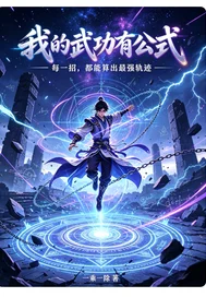 我的武功有公式封面