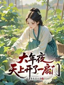 大年夜,天上开了一扇门封面