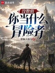 没数值你当什么冒险者封面