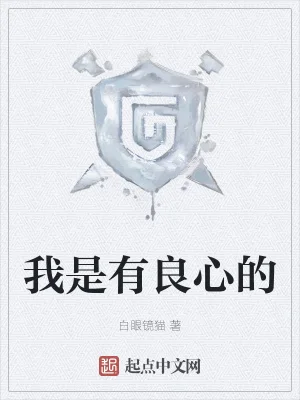 我是有良心的封面