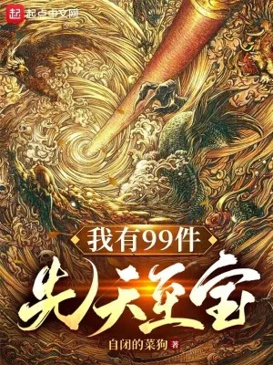 我有99件先天至宝封面