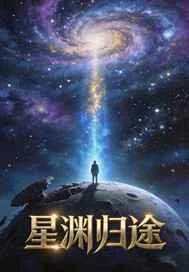 星渊归途封面