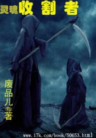 灵魂收割者封面