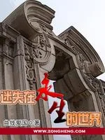 迷失在《永生》的世界封面