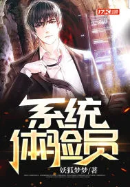系统体验员封面