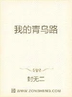 我的青乌路封面