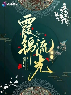 霞锦流光封面