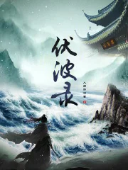 伏波录封面
