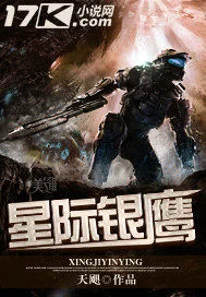 星际银鹰封面