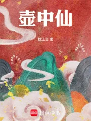 壶中仙封面