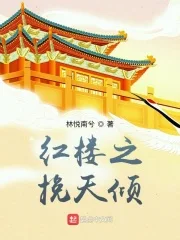 红楼之挽天倾封面