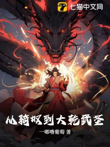 从骑奴到大乾武圣封面