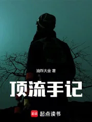 顶流手记封面