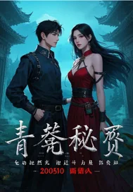 青囊秘录封面