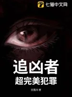 追凶者：超完美犯罪封面
