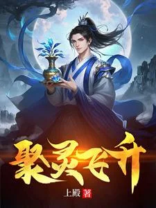 聚灵飞升封面