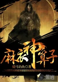 麻衣神算子封面
