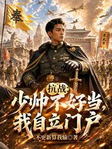 抗战:少帅不好当,我自立门户封面