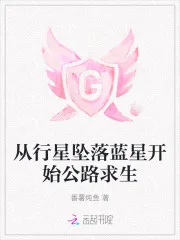 从行星坠落蓝星开始公路求生封面