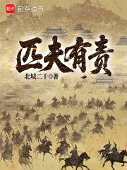 匹夫有责封面