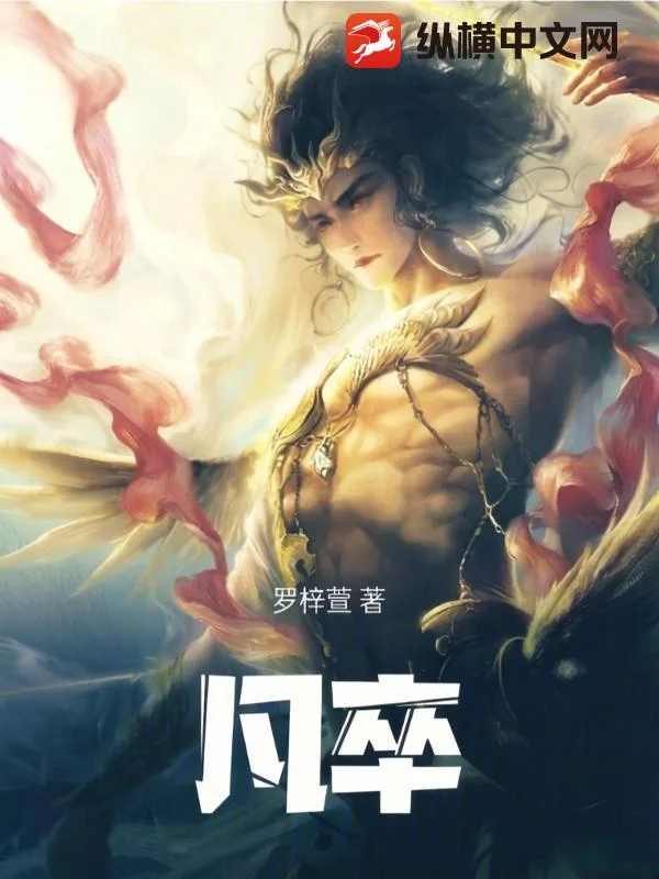 凡卒封面