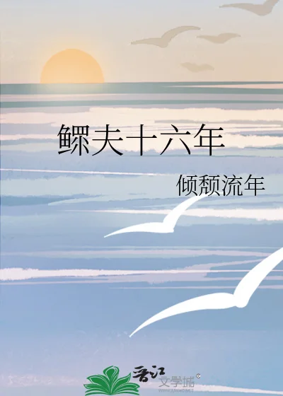 鳏夫十六年封面