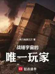 战锤宇宙的唯一玩家封面