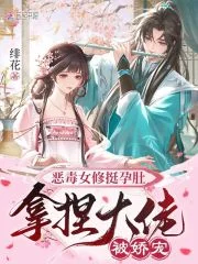 恶毒女修挺孕肚,拿捏大佬被娇宠封面