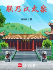 朕乃汉太宗封面