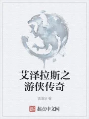 艾泽拉斯之游侠传奇封面
