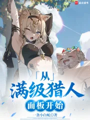 从满级猎人面板开始封面