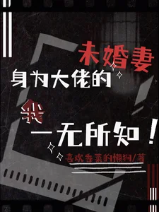 身为大佬的未婚妻我一无所知封面