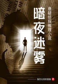 暗夜迷雾封面