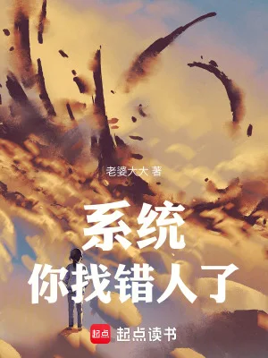 系统：你找错人了封面