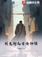 朋克街的古怪神探封面