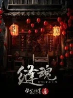 缝魂封面