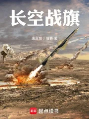 长空战旗封面