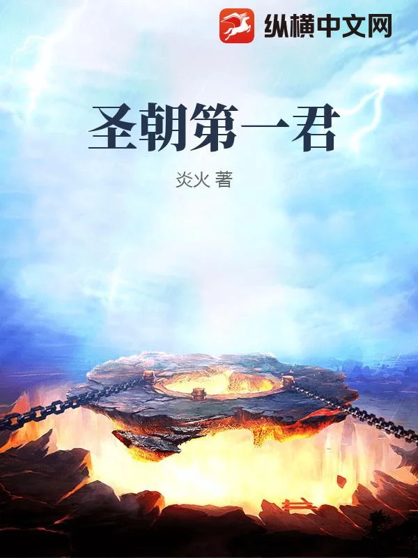 圣朝第一君封面