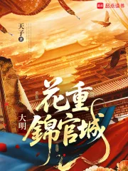 大明：花重锦官城封面