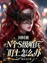 同时被N个S级哨兵盯上怎么办封面