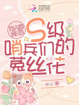 万人迷向导：S级哨兵们的菟丝花封面